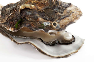 June Birthstone- The Pearl - Whitestone Jewellery