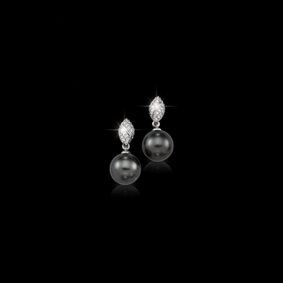 a pair of black akoya heirloom earrings 