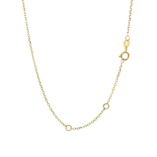 14K Gold Chain with Spring Bolt- Whitestone Jewellery 