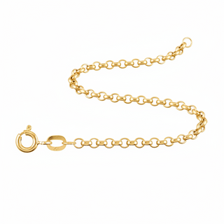 Gold chain with clasp on a white background