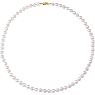 A classic white akoya pearl necklace with a gold clasp, arranged in a neat circle on a solid white background.
