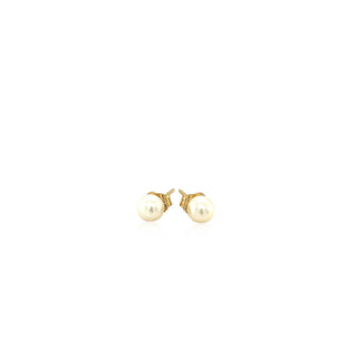 14k Yellow Gold Freshwater Cultured White Pearl Stud Earrings (4.0 mm) - Whitestone Jewellery